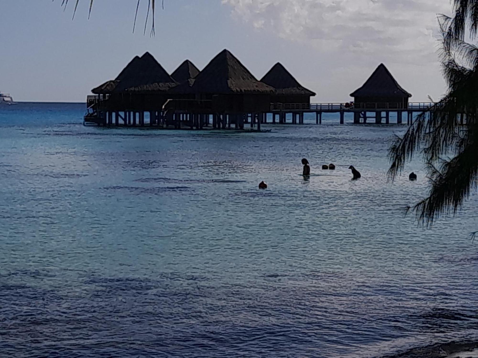 Hinamoe Lodge Avatoru Dış mekan fotoğraf