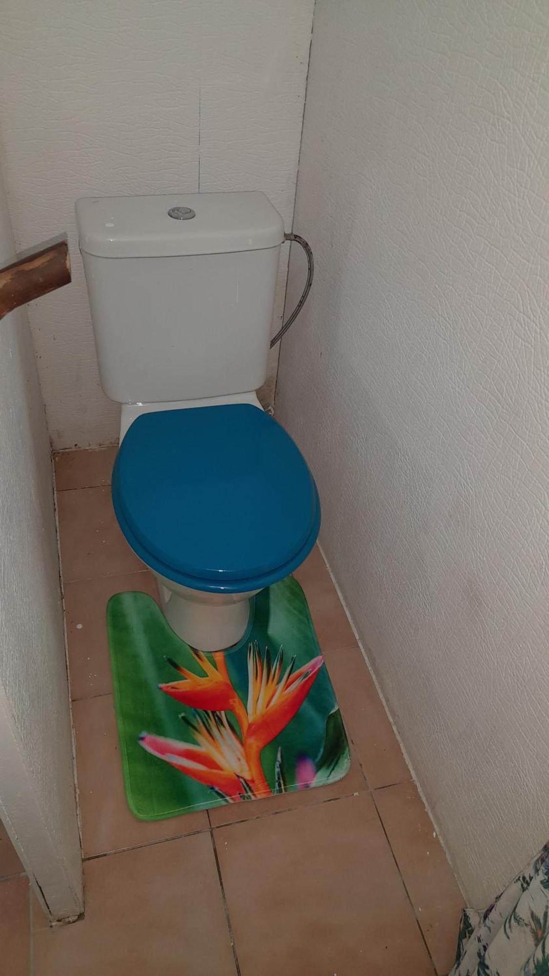 Hinamoe Lodge Avatoru Dış mekan fotoğraf