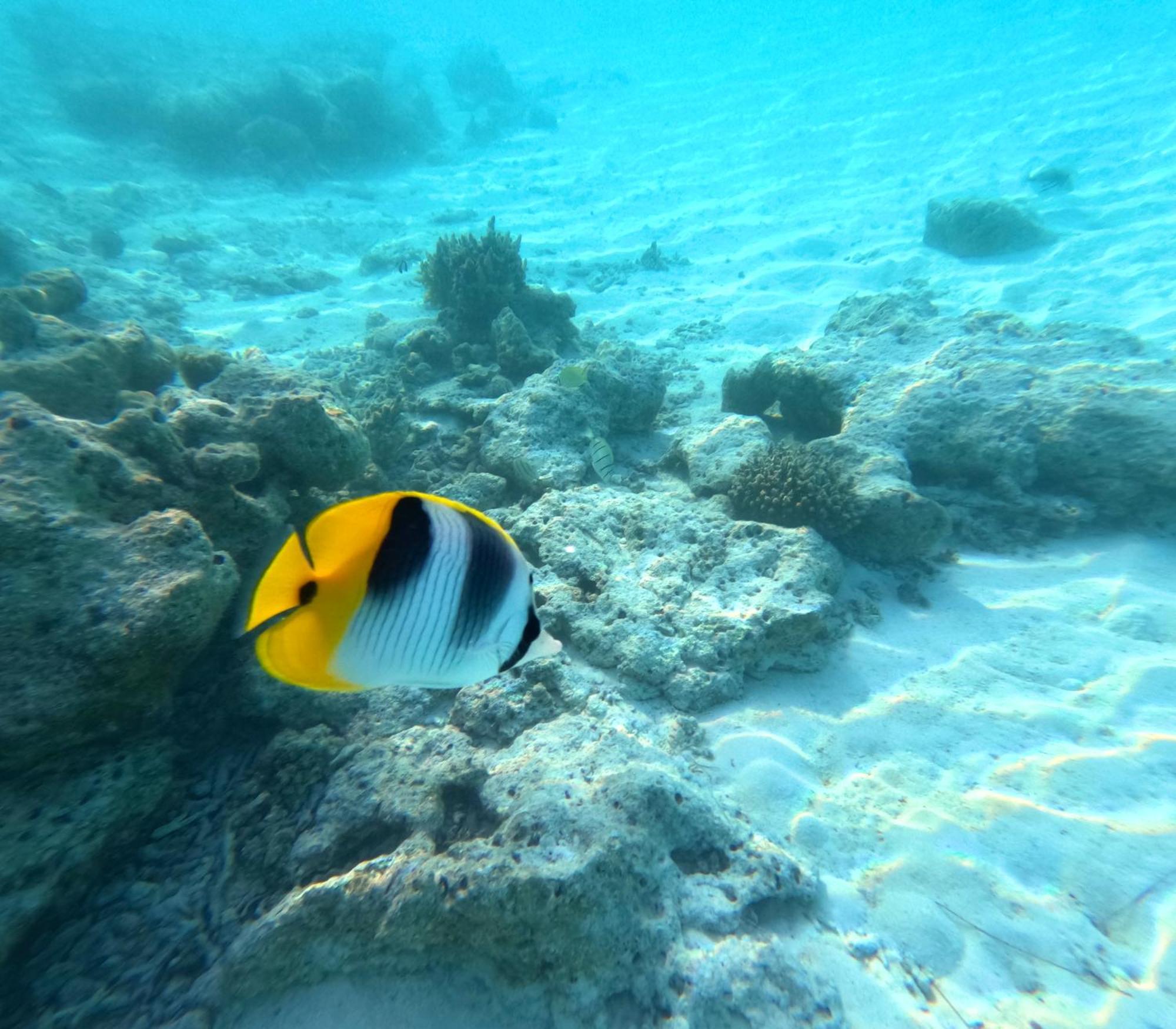 Hinamoe Lodge Avatoru Dış mekan fotoğraf