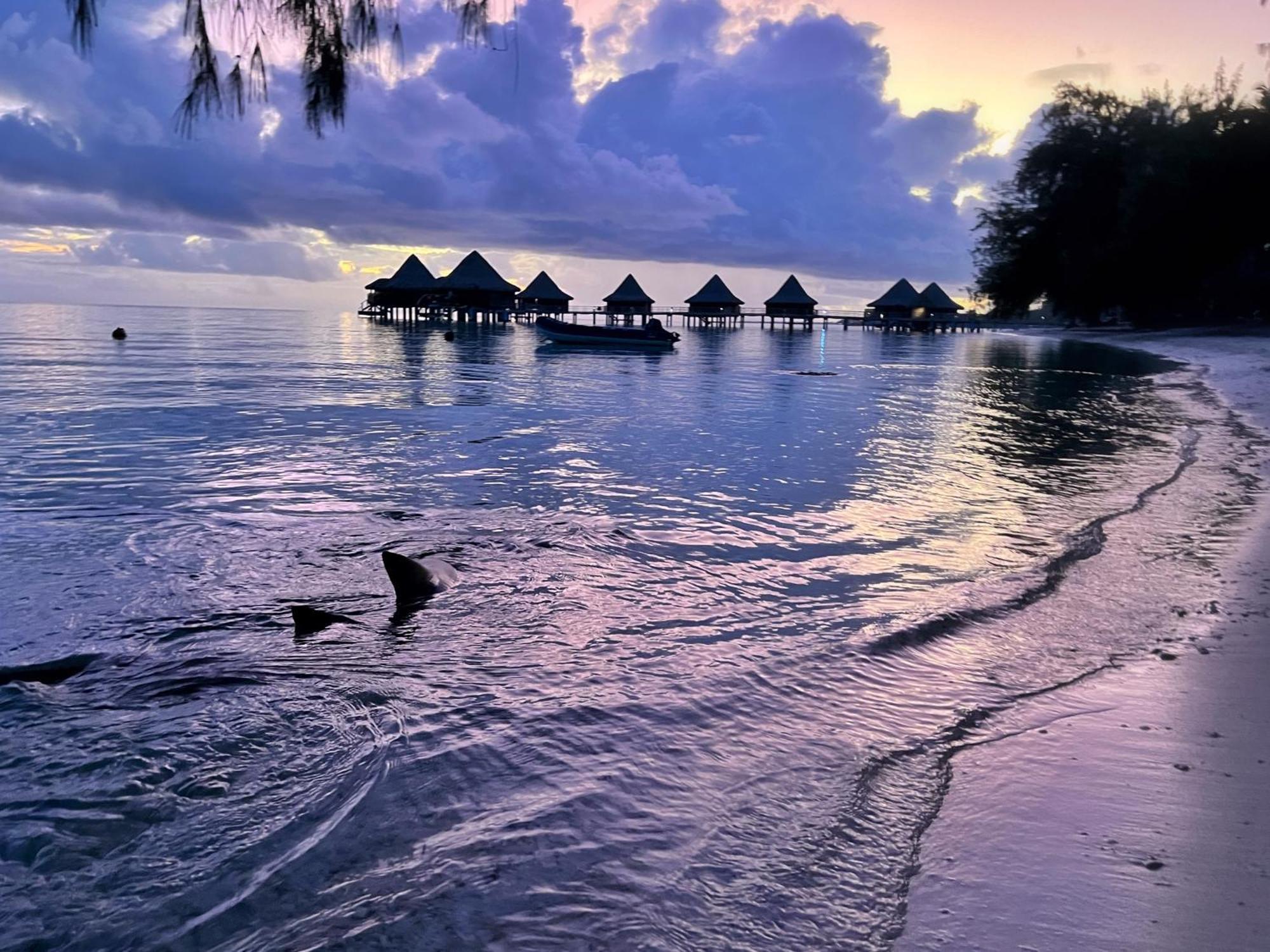 Hinamoe Lodge Avatoru Dış mekan fotoğraf